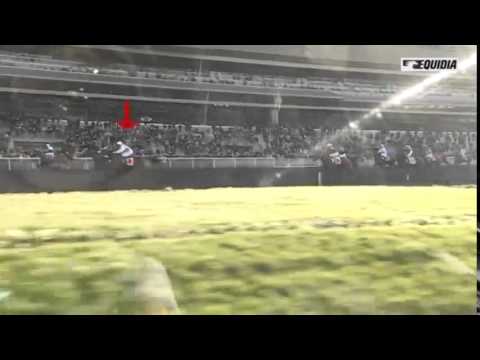 Enquête Prix de Cornulier 2015 - disqualification de Vittel de Brévol