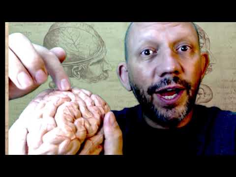 Meditation and the cerebral cortex with Anatomy