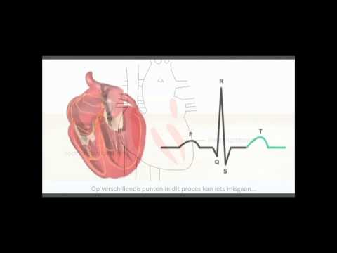 download lagu mp3 mp4 Hartritme, download lagu Hartritme gratis, unduh video klip Hartritme