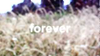 Stacy Clark - Strange