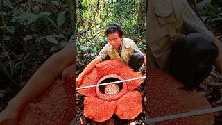 Creepy Plants That Trap Animals And Slowly Digest Them