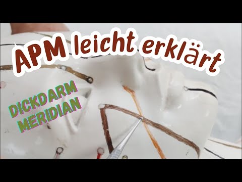 APM leicht lernen: Dickdarm Meridian genauer Verlauf und Anlaufpunkte am Modell erklärt
