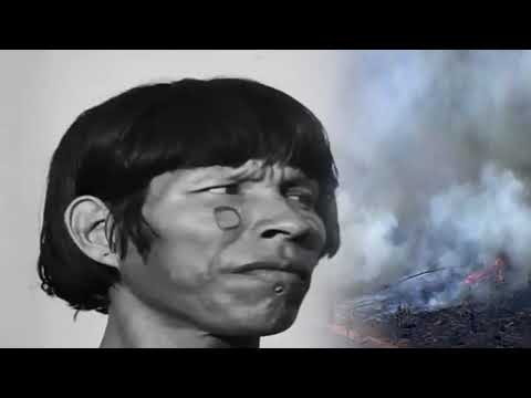 Cigarras - Etnocídio