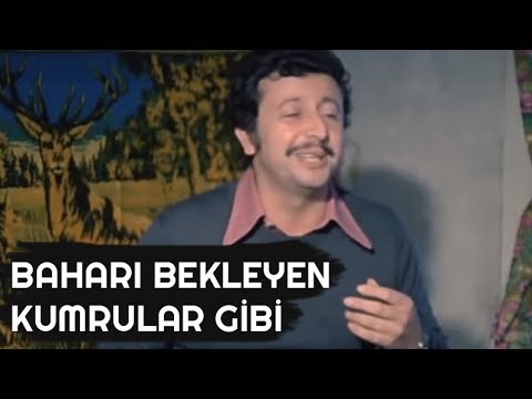 BAHARI BEKLEYEN KUMRULAR GİBİ - Petrol Kralları (1979)