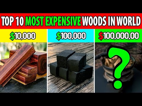 Top 10 most EXPENSIVE woods in world | Facts of Universe