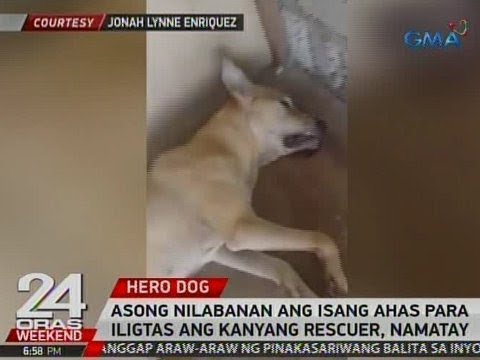 Forum kong mabilis na nawala ang bigat Paano sa mawala timbang mula sa pagduduwal