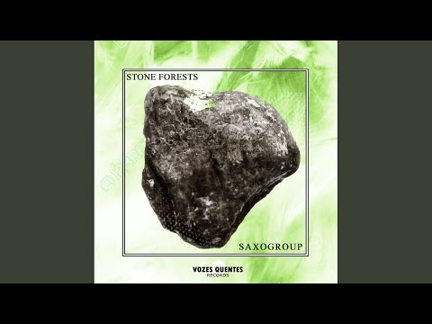 Stone Forests (Original Mix)