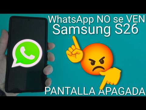 Guía Paso a Paso Detallada para la Nueva Solución (2026)