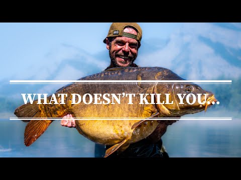 CRAZY Carp Fishing Adventure Film🤪🎣| Lee Morris | Complete Box Set 2hrs 50min