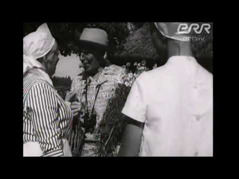 Väike, igatahes tagasihoidlik, aaskäoking