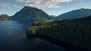 Protecting the ocean is essential to our current and future way of lif