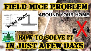 How to get rid of FIELD MICE around your home in just a few days.