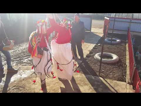 Caiutii Sat Sîrbi.2018