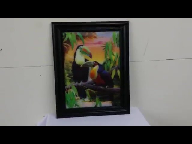 Vídeo relacionado con 3D LiveLife Lenticular Cuadros Decoración - Tucán de Deluxebase. Poster 3D sin marco de pájaros tropicales. Obra de arte original con licencia del reconocido artista, Michael Searle