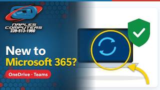 Microsoft 365 Basics: OneDrive, SharePoint, and Teams