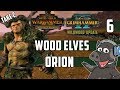 POWER OF THE ELVES  - SFO Grimhammer 2 Wildwood - Total War: Warhammer 2 -  Wood Elves Campaign Ep 6