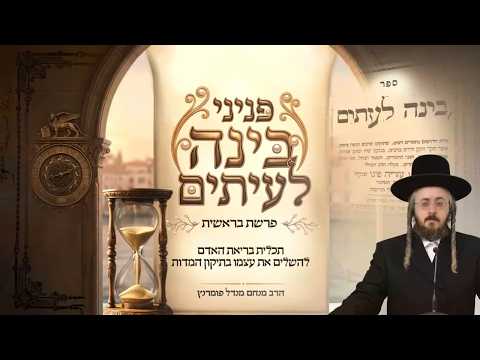 פניני בינה לעיתים - פרשת בראשית