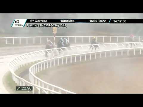 220716 c06 - JESOLO (BRZ) - HIPODROMO LAS PIEDRAS