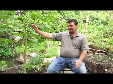 Testimonios San José Las Flores - Nelson Orellana