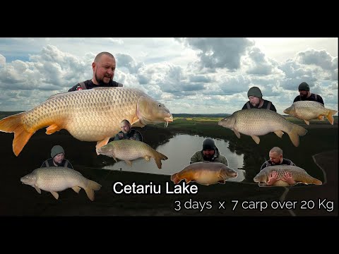 Cetariu Lake - Lacul Cetariu „ Valea vițeilor” by Rappa FK