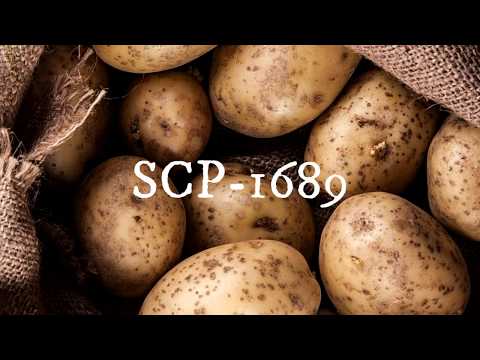 SCP-1689 Бесконечный мешок картошки + Протокол экспедиции в SCP-1689.