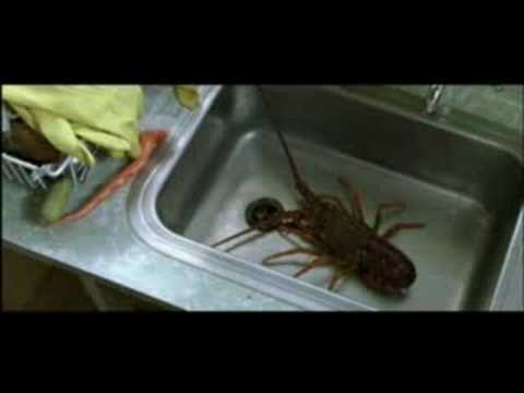 Paka isn't ready - Whale Rider