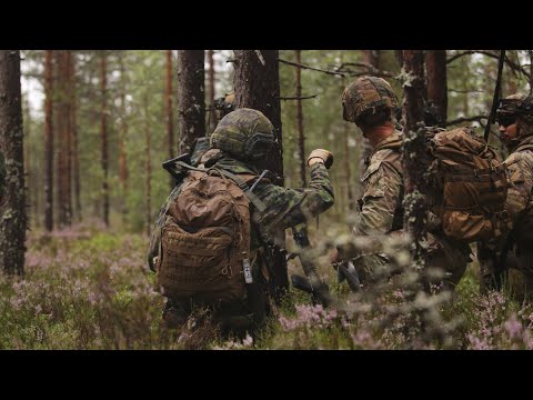 Vigilant Fox – Stronger Together