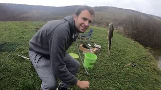 Shimano beastmaster bx carp feeder