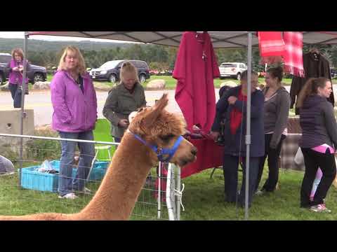 Sholan Farms Harvest Festival 2018 by Ron Girouard