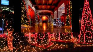 O CHRISTMAS TREE (O TANNENBAUM) - NYC SYMPHONY