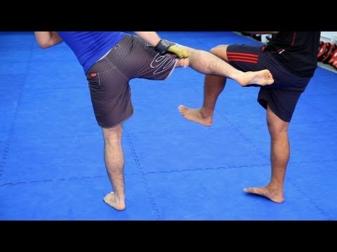How to Counter Kicks | MMA Fighting
