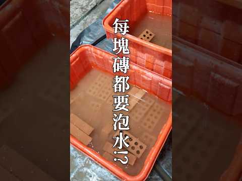 【講座精華】蘭庭設計｜曹議庭｜磁磚變形的元兇！竟然是因為「沒洗澡」？為了不讓磁磚「膨拱」，師傅腰都痠了...😓#膨拱 #空心磚 #裝潢避雷 #磁磚 #老屋改造 #老屋翻新 ＃蘭庭設計＃曹議庭