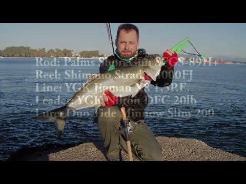 Duo tide minnow Slim 200 Flyer - Bluefish 5,610 Kg