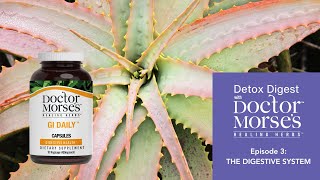 Detox Digest, The Digestive System | Support Occasional Constipation, Bloating & Microbiota w/ Herbs