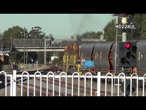 XRN024+XRN008+GWU009=Maitland