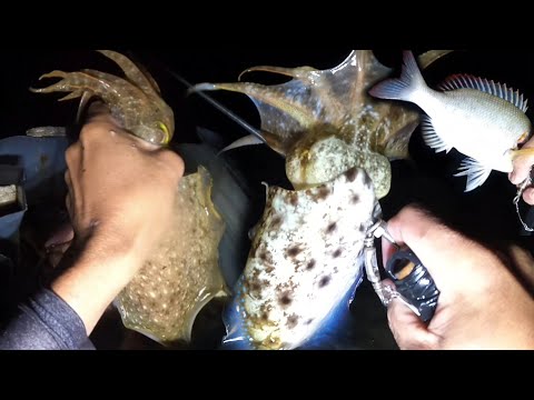 Ep. 237 Masaganang Huli! Night Hunting For Seafoods! Catch & cook