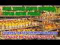 HOW TO FARM KROTO WITH JARS FOR BEGINNERS OFTEN UNDERESTIMATED EVEN THOUGH IT S VERY PROFITABLE