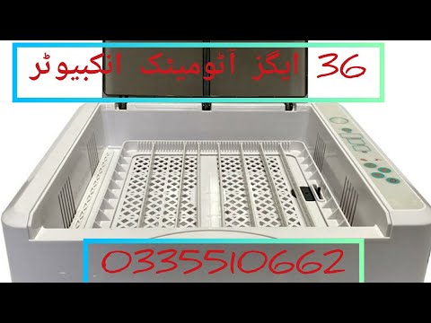 36 Eggs Imported Machine Now Available In Pakistan