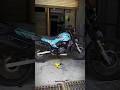 Hero Xpulse 200 2V Modified