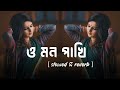 O Mon Pakhi ও মন পাখি Slowed Reverb Koel Hiraan Shreya Ghoshal Rana Majumder Lofi