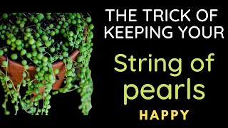 || HOW TO CARE FOR STRING OF PEARLS || COMPLETE CARE GUIDE ||