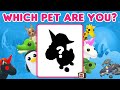 Which Adopt Me Pet Are You Roblox Personality Test