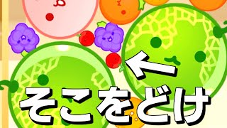 フルーツに怒声を飛ばしてしまうゲーム【スイカゲーム】