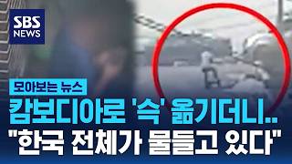 캄보디아로 '슥' 옮기더니..한국 전체가 물들고 있다 / SBS / 모아보는 뉴스