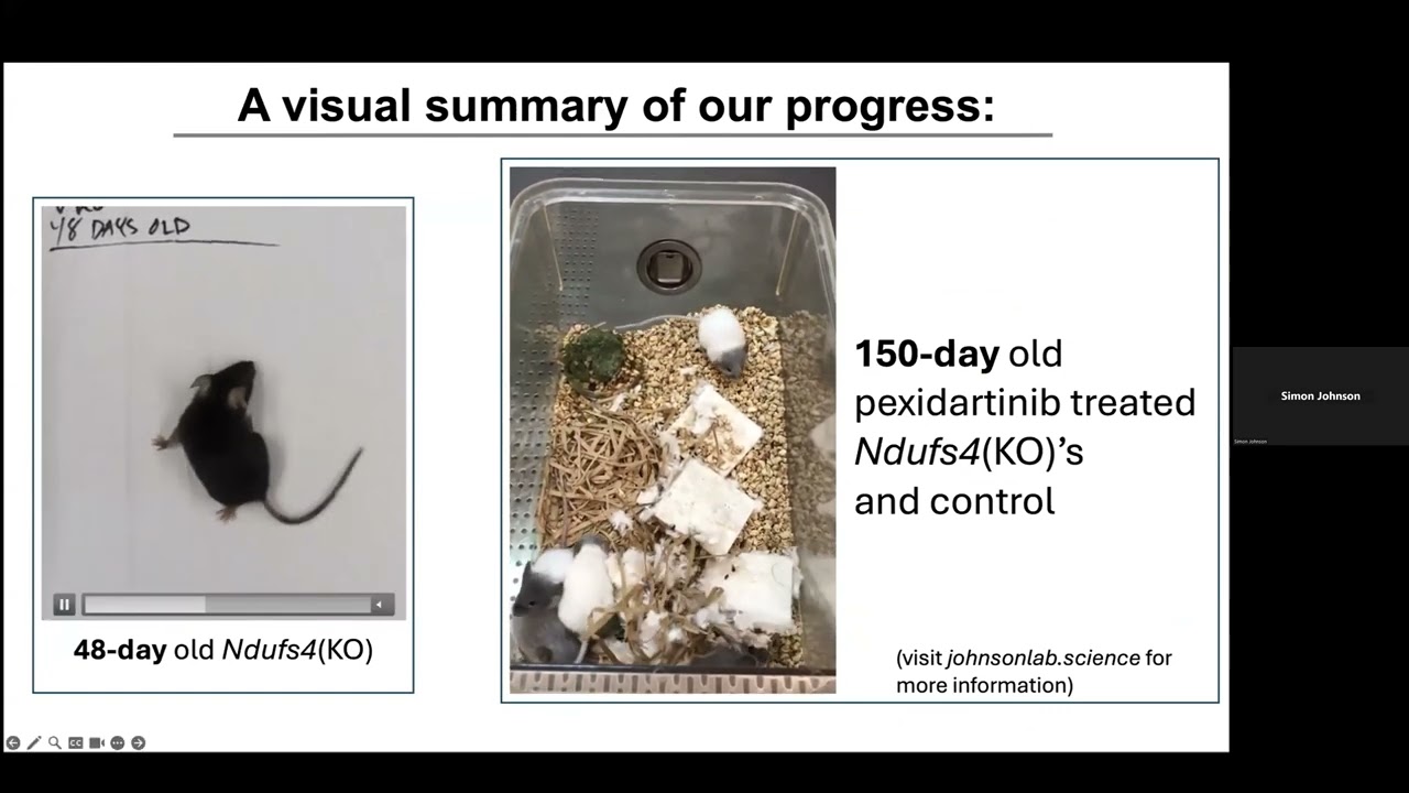 Treatments for Mitochondrial Disease Progress, Problems, and Priorities
