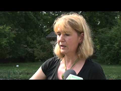 MEREU IN FORMA -  24 octombrie 2015