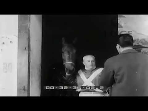 Gran Premio Lotteria di Agnano