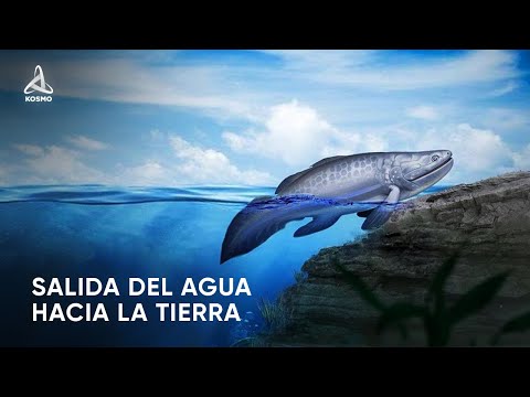¿Cómo la vida ha salido del AGUA hacía la TIERRA?