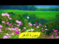 Surah Al Dahar Tilawat Surah Dahr Quran Surah Dahr سورۃ الدھر