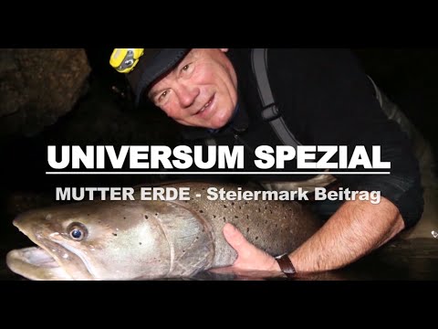 HUCHEN - UNIVERSUM SPEZIAL - DER KÖNIG DER MUR